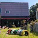 펫앤스토리 이미지