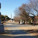 몬더그린 네이버블로그