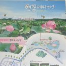 관곡마을동아아파트(연성동아아파트) | 경기도 시흥시 &#39;관곡지&#39; 연꽃테마파크 2025년 7월 12일