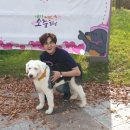 댕댕# 이미지