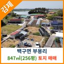 백구면사무소 이미지