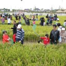 호남선 농장 이미지