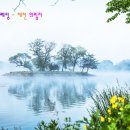 제천황기순대
