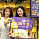 자주이마트 이미지