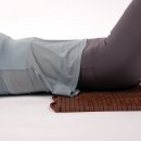 수목토일라이트 이미지