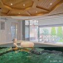 칠포민박펜션스테이쉼 | 경주 대형자쿠지가 있는 독채 펜션 동파랑 한옥스테이 후기