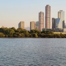 사주로 배우는 삶의 지혜 이미지