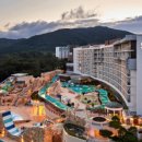 스플라스리솜 이미지