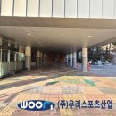 홍대부속초교 이미지