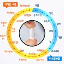 비타민123
