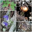 한창농장 이미지