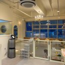 개들만찬 이미지