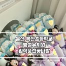 포항남부초 병설유치원 | 포항 경주 병설유치원 입학선물 캐릭터풍선꽃다발