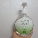 그린날애