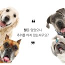 (주)조은메디칼 이미지