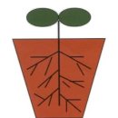 흙뿌리 농장 이미지