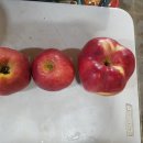 백전식당 이미지