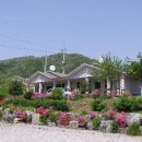 노루목 펜션 이미지