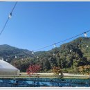 내장산208정읍펜션 | 정읍펜션에서의 완벽한 워크샵 정말 좋았어요 내장산 208 정읍 펜션 후기