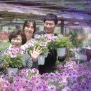 하일농장 이미지