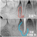 미소현치과의원 이미지