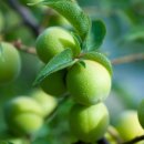 그린안경원 이미지