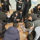 강진중학교 이미지