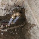 양이주택 이미지