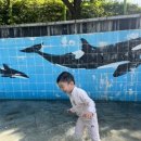 능골공원 화장실 이미지