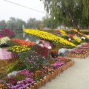 서동공원 향토음식특화거리 이미지