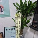 연극<내 모든 걸> | 대학로 연극 〈내 모든 걸〉 - 따뜻하고 유니크한 가족 연극, 대학로 데이트