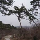 남산 홍주사 이미지