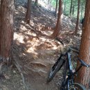 공지산 둘레길 이미지