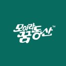 남송초등학교 이미지