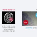 다원바이오 - 경산시 | 다원바이오