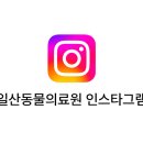 강원대학교 부속 동물병원 이미지