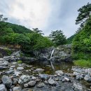 삼척 활기 치유의 숲 이미지