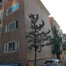 강화도공인중개사사무소 이미지