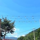 불타는 숯불 닭갈비 이미지