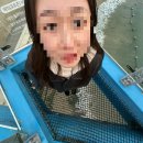 쑥꿀레, 대중음악의전당, 근대역사관, 무가보, 스카이워크, 포미아구찜, 유달콩물, 목포해상케이블카)