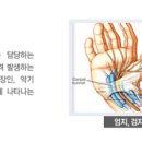 하늘마디재활의학과의원 이미지