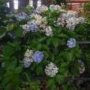 에이시스 | 1월부터 9월까지 요약