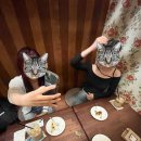 마루콩콩 이미지