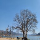 천태산농원 이미지