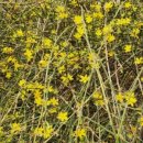 중랑캠핑숲 이미지