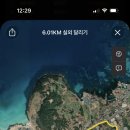똥산강아지 네이버블로그