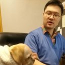 페츠온동물병원 이미지