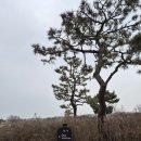 하늘코스 클럽하우스 | 하늘코스 원더클럽클럽72 3월하늘코스후기 스카이72골프장 하늘코스연습장패키지 하늘코스취소티 하늘...