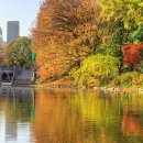 가을여행 이미지