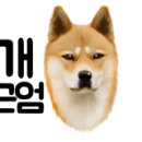 재미나개 이미지